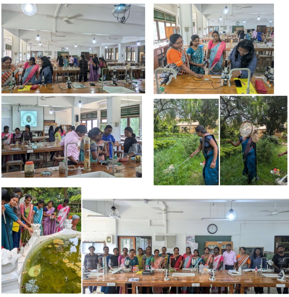 School seminar series 7